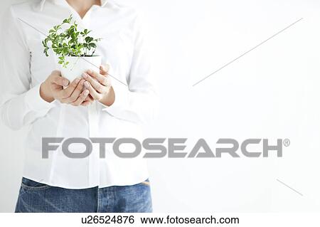 Stock Photograph - Young woman holding potted plant. Fotosearch