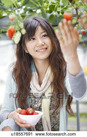 Young woman holding strawberries View Large Photo Image Stock Image - Young woman holding strawberries. Fotosearch