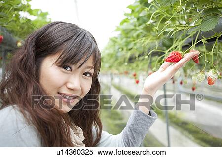 Stock Photography - Young woman holding strawberries. Fotosearch