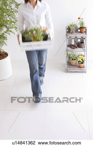 Young woman moving potted flowers View Large Photo Image Stock Image - Young woman moving potted flowers. Fotosearch