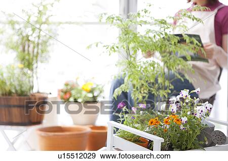 Stock Photo - Young woman reading a book. Fotosearch
