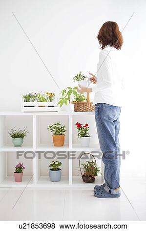 Stock Photo - Young woman spraying potted plant. Fotosearch
