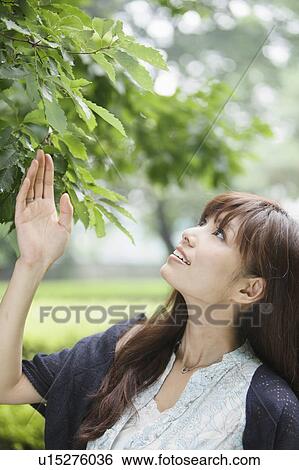 Young Woman Touching Branch View Large Photo Image Stock Photograph - Young Woman Touching Branch. Fotosearch