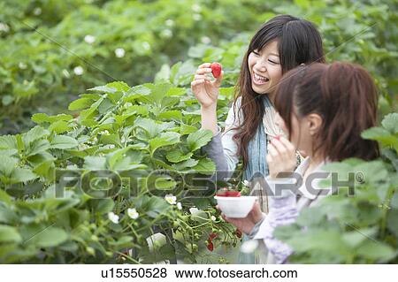 Stock Photo - Young women holding strawberries. Fotosearch