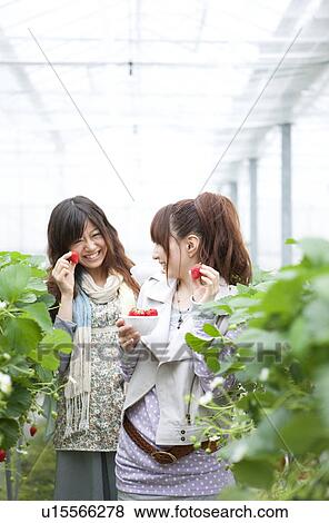 Stock Photo - Young women holding strawberries. Fotosearch