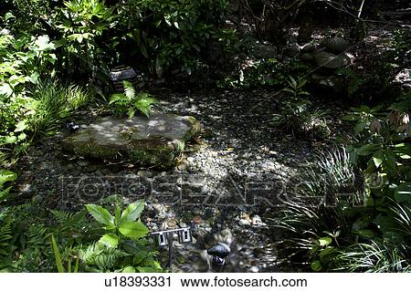 Zenmyoji Spring View Large Photo Image Stock Image - Zenmyoji Spring. Fotosearch