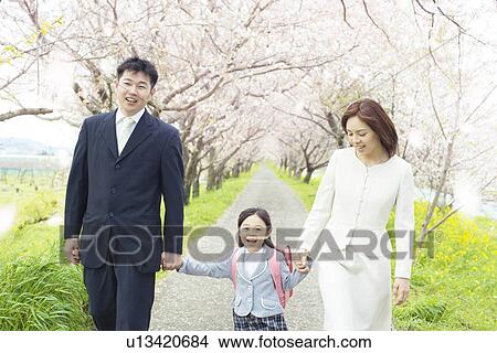 A family under cherry blossom trees View Large Photo Image Picture - A family under cherry blossom trees. Fotosearch