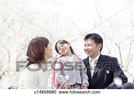 A family under cherry blossom trees View Large Photo Image Stock Image - A family under cherry blossom trees. Fotosearch