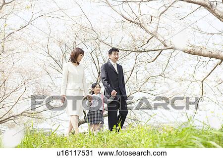 A family under cherry blossom trees View Large Photo Image Stock Image - A family under cherry blossom trees. Fotosearch