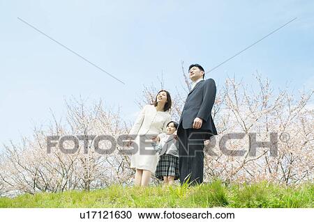 A family under cherry blossom trees View Large Photo Image Stock Image - A family under cherry blossom trees. Fotosearch