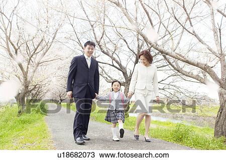 A family under cherry blossom trees View Large Photo Image Stock Image - A family under cherry blossom trees. Fotosearch