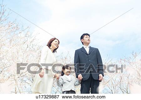 A family under cherry blossom trees View Large Photo Image Stock Photo - A family under cherry blossom trees. Fotosearch