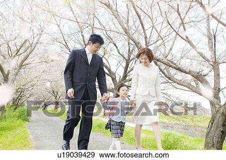Stock Photo - A family under cherry blossom trees. Fotosearch