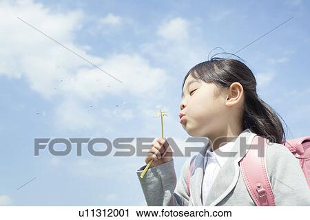 Stock Image - A girl holding dandelion puff. Fotosearch