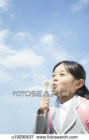 Stock Photo - A girl holding dandelion puff. Fotosearch