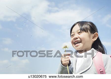 A girl holding dandelion puff View Large Photo Image Stock Photography - A girl holding dandelion puff. Fotosearch