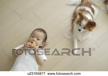 Stock Photo - Baby girl lying down next to dog. Fotosearch