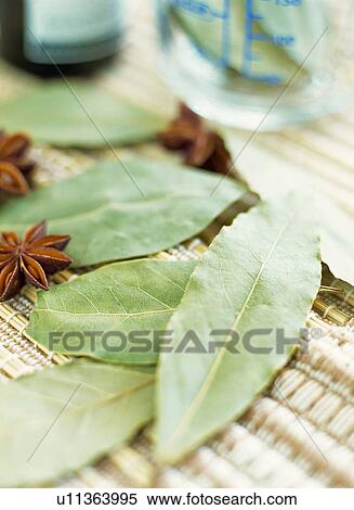 Bay leaf and Star anise View Large Photo Image Stock Photography - Bay leaf and Star anise. Fotosearch