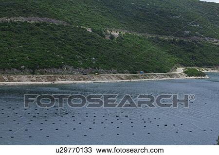 Stock Image - Blue Mussel Farm. Fotosearch