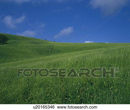 Blue Sky Over Field View Large Photo Image Stock Photograph - Blue Sky Over Field. Fotosearch
