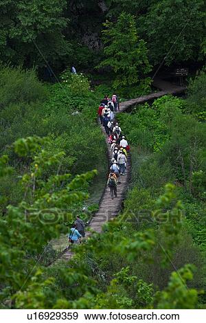 Boardwalk at Plitvice Lakes National Park View Large Photo Image Stock Photo - Boardwalk at Plitvice Lakes National Park. Fotosearch