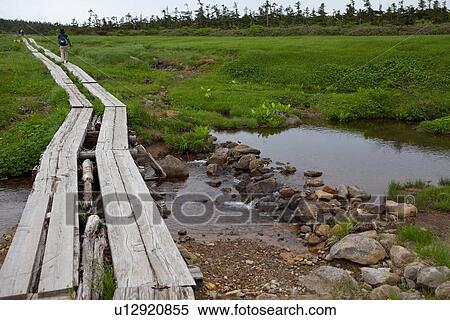 Stock Photography - Boardwalk in Field. Fotosearch