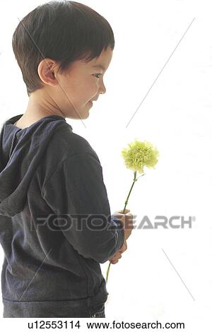Boy Holding One Flower View Large Photo Image Picture - Boy Holding One Flower. Fotosearch