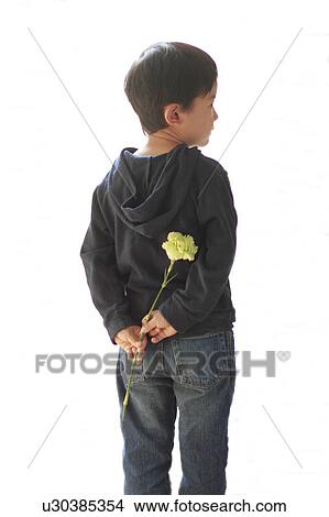 Boy Holding One Flower View Large Photo Image Picture - Boy Holding One Flower. Fotosearch