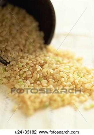 Stock Image - Brown rice in bowl. Fotosearch