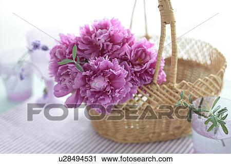 Bunch of Chinese Peony Flowers in Basket View Large Photo Image Stock Image - Bunch of Chinese Peony Flowers in Basket. Fotosearch