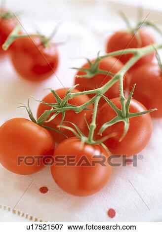 Cherry tomatoes View Large Photo Image Stock Photo - Cherry tomatoes. Fotosearch