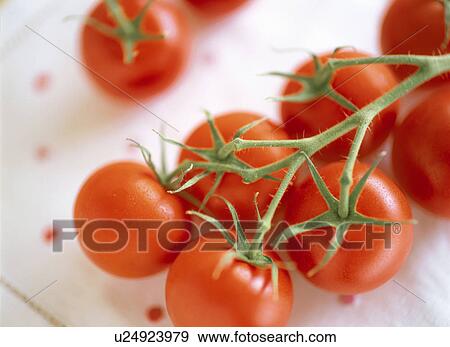 Cherry tomatoes View Large Photo Image Stock Photo - Cherry tomatoes. Fotosearch