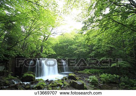Choshi Otaki Waterfalls View Large Photo Image Stock Photo - Choshi Otaki Waterfalls. Fotosearch