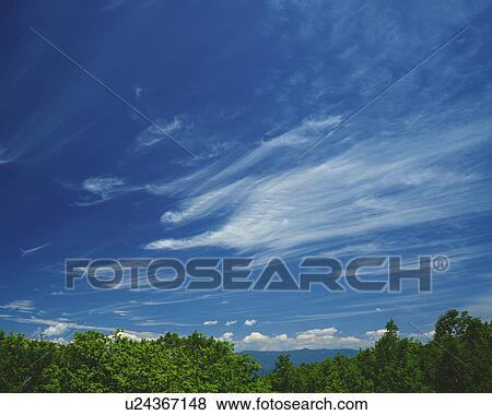 Stock Photo - Cirrus Clouds Over Trees. Fotosearch