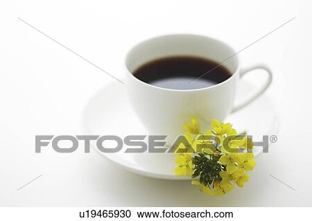 Coffee in a cup and Oilseed Rape View Large Photo Image Stock Image - Coffee in a cup and Oilseed Rape. Fotosearch