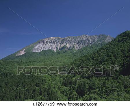 Stock Photo - Daisen Mountain and Forest. Fotosearch