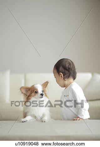 Dog and baby girl View Large Photo Image Stock Photo - Dog and baby girl. Fotosearch