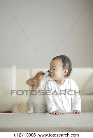 Stock Photograph - Dog kissing baby girl. Fotosearch