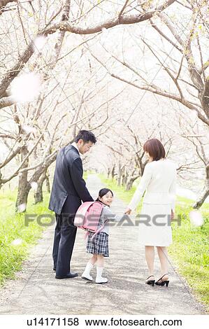 Family holding hands and walking, rear view View Large Photo Image Stock Photo - Family holding hands and walking, rear view. Fotosearch