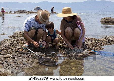Family of Three Collecting Stones on Beach View Large Photo Image Stock Photo - Family of Three Collecting Stones on Beach. Fotosearch