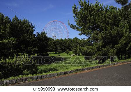 Ferris Wheel of Kasai Rinkai Park View Large Photo Image Stock Image - Ferris Wheel of Kasai Rinkai Park. Fotosearch