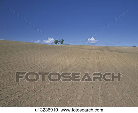Stock Image - Fields. Fotosearch