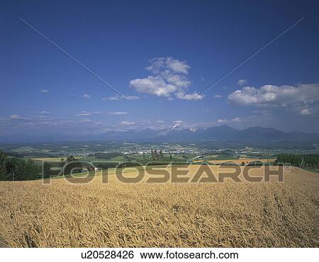Stock Photograph - Fields. Fotosearch