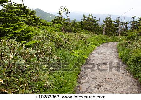 Footpath in Mountain View Large Photo Image Stock Image - Footpath in Mountain. Fotosearch