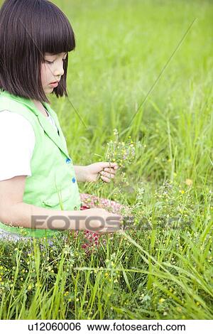 Girl Picking Up Wildflowers View Large Photo Image Stock Photograph - Girl Picking Up Wildflowers. Fotosearch