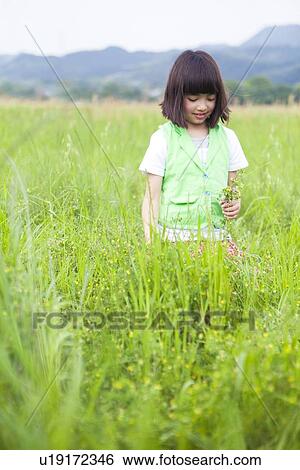Girl Standing in Wildflower Field View Large Photo Image Stock Photograph - Girl Standing in Wildflower Field. Fotosearch