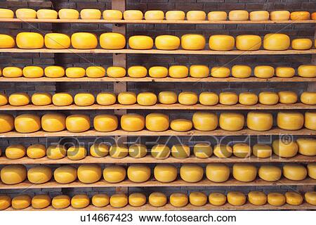 Gouda on Shelves View Large Photo Image Stock Image - Gouda on Shelves. Fotosearch