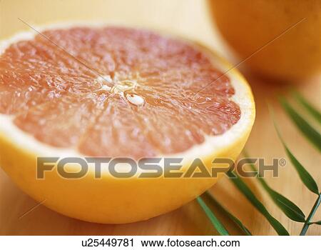 Grapefruits View Large Photo Image Stock Image - Grapefruits. Fotosearch
