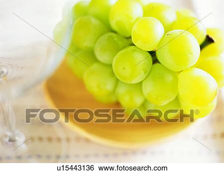 Grapes View Large Photo Image Stock Photograph - Grapes. Fotosearch