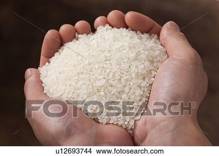 Picture - Hands holding rice. Fotosearch